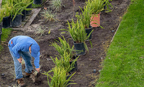 Elite Garden Resedence.